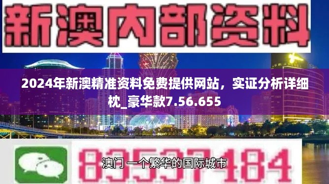 2024澳门精准正版资料-精选解释解析落实