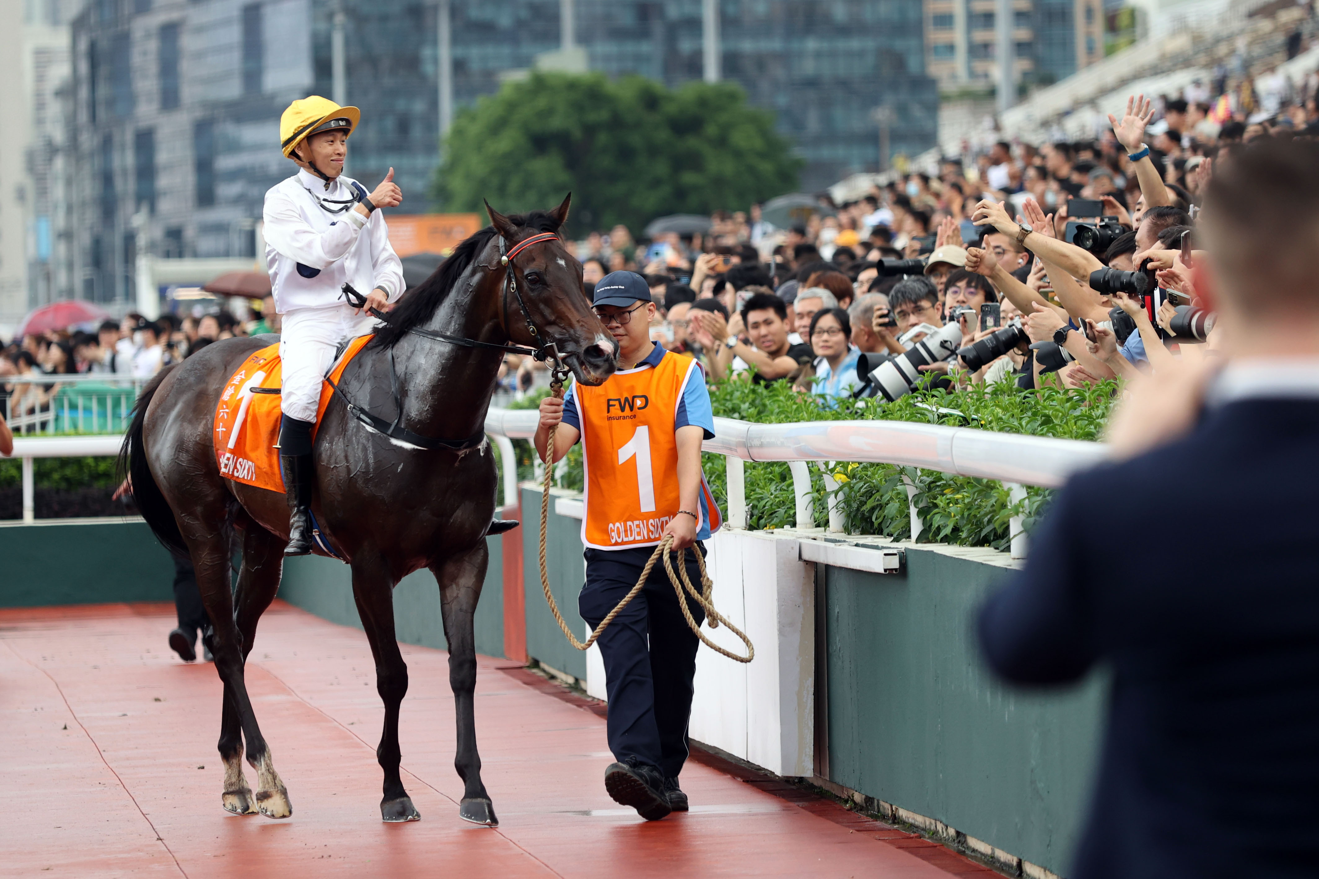 2024香港今期资料号码马会-精选解释解析落实