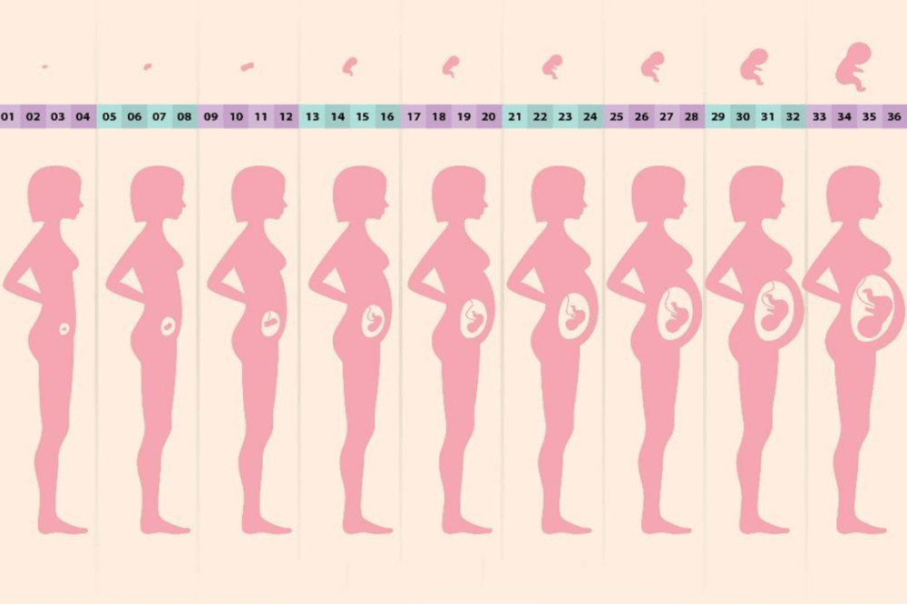 孕妇9个月是多少周，孕期周数的深度解析