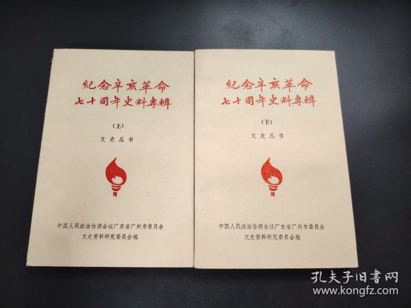 广东省革命委员会，历史沿革与现代发展