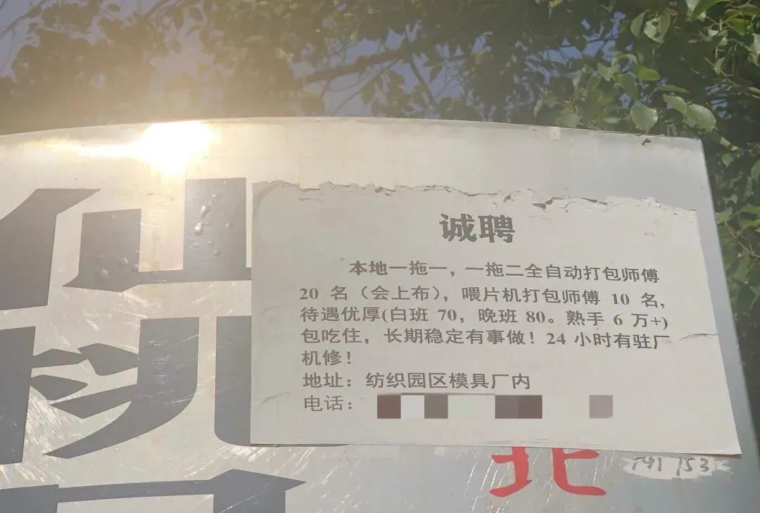 广东港俊有限公司招聘启事