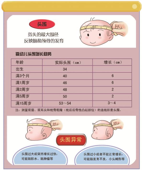 关于11个月宝宝头围标准的探讨