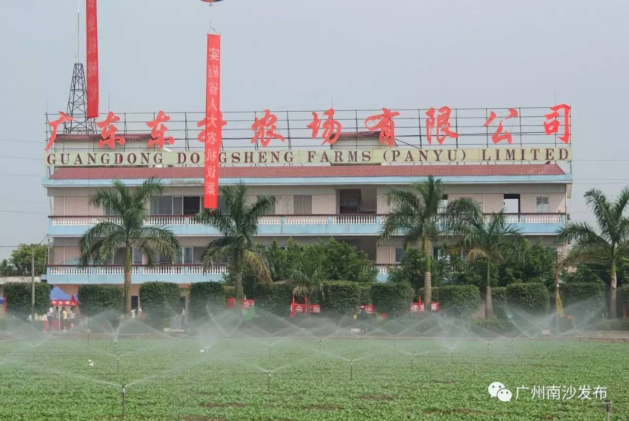 广东省东升农场场长——引领农场走向繁荣的领航者