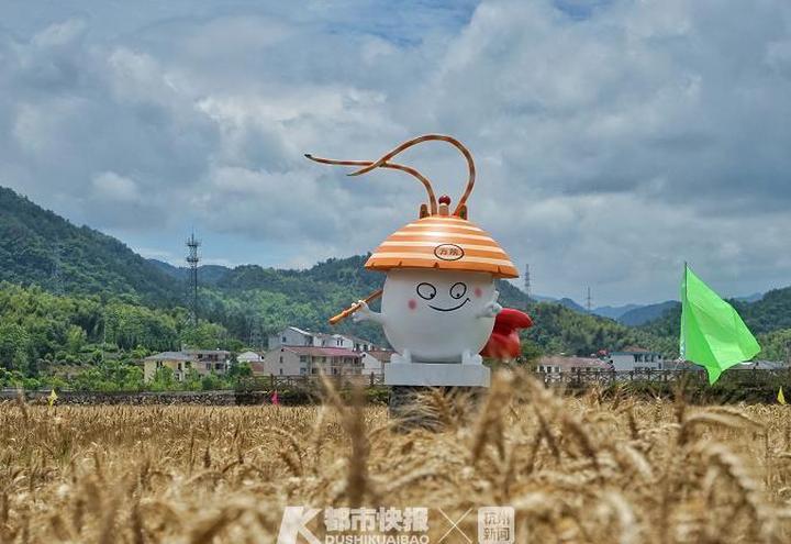 广东麦田餐饮有限公司，探索美食与服务的无限可能