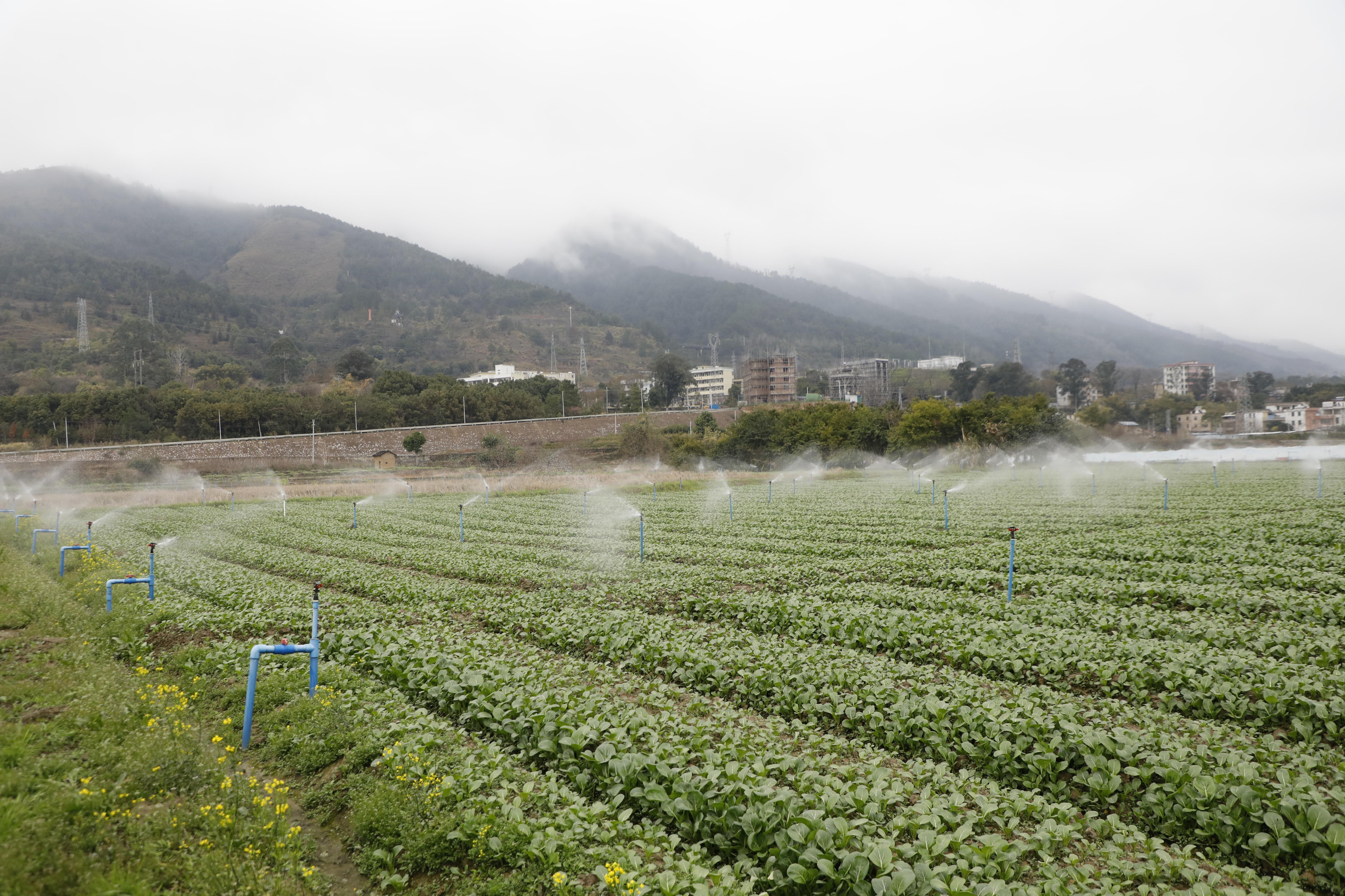 广东省生物产业发展探析