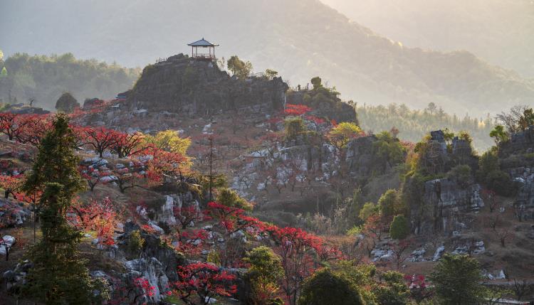 广东省连平县旅游，探秘自然与人文的瑰宝